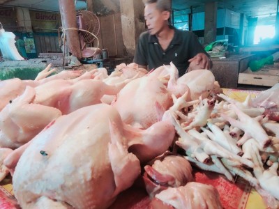 Harga Ayam Fluktuatif Naik Lagi Rp 2000 Perkilogram di Bandarjaya Plaza