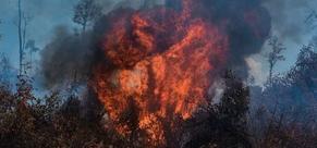 Terpantau Hotspot di 4 Kecamatan, BPBD; Belum Ada Laporan Karhutala di Lamteng