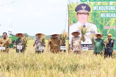 Pemkab Lamteng Hadapi Ketersediaan Pangan dengan Gerakan Panen Padi di Seputihraman