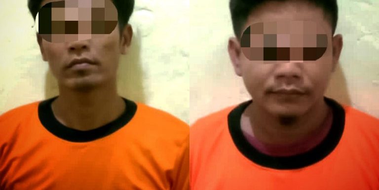 Curi Panel Surya Bantuan Pemerintah, 2 Warga Sidodadi Diringkus Polisi