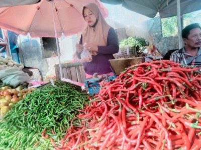 Emak – emak Menjerit, Harga Cabai Melejit Naik Sampai 100% di Bandarjaya
