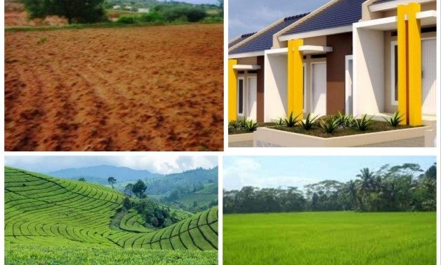 Mau Jual Beli Tanah? Percayakan pada CV Alam Pukanbi Properti Lampung Tengah