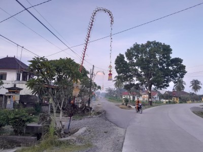 Galungan, Umat Hindu Pasang Penjor