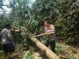 Peduli Lingkungan, Bhabinkamtibmas Polsek Seputih Mataram Gotong Royong Bersama Warga Binaannya