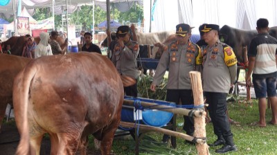 Kapolres Lamteng Lakukan Pengamanan Pembukaan Kontes dan Expo Sapi di Lapangan Prosida