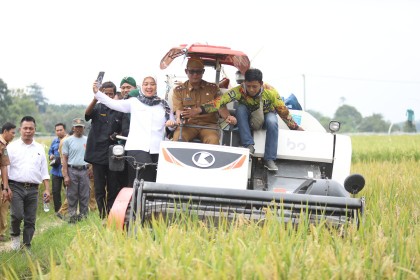 Wabup Lamteng Bersama Anggota Komisi VII DPR-RI Panen Raya di Kecamatan Anak Tuha