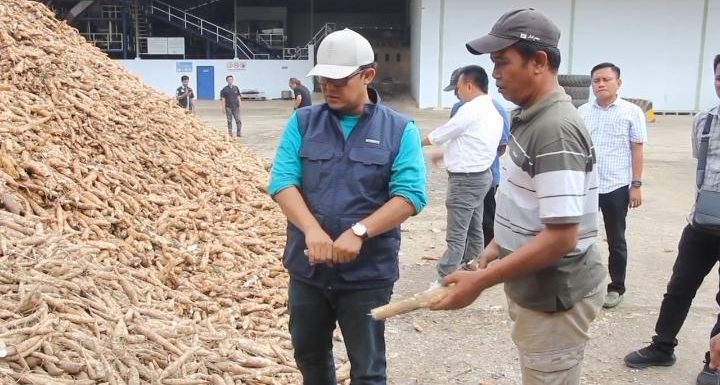 Hasil Rapat Bersama Antara Wabup dan Pengusaha, Akhirnya Harga Singkong di Lamteng Naik