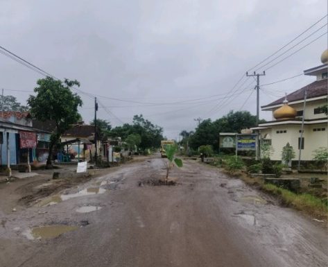 Tak Kunjung Diperbaiki, Warga Tanam Pohon Pisang di Jalan Rusak