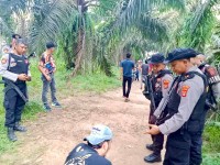 Polisi Bongkar Gubuk Diduga Lokasi Pesta Sabu di Gunung Sugih, Pelaku Masih Diburu