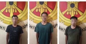 Tiga Pelaku Pencuri Buah Sawit di PT GMP Dibekuk Polsek Seputih Mataram